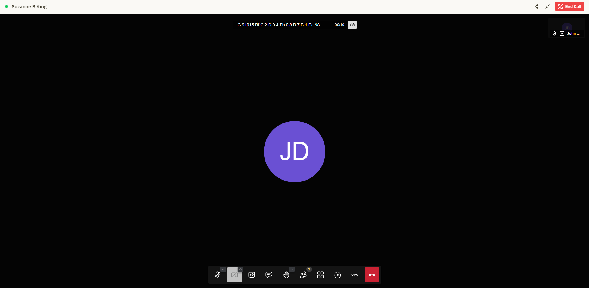 Screenshot: Video meeting in progress with controls visible